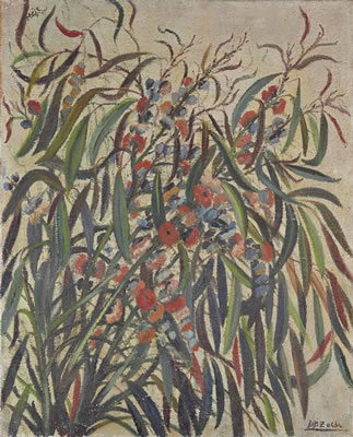 Eucalyptus