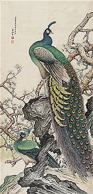 PEACOCK