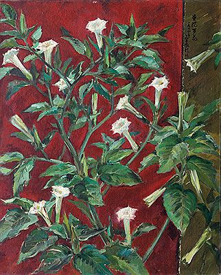 DATURA ALBA