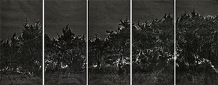 EVENING TREE