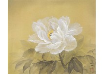 Peony