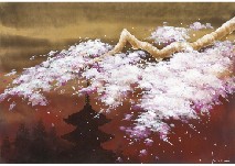 Cherry blossoms