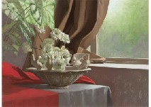 Balloonflower by window