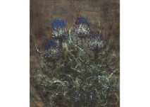 German thistle