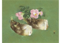 Spring Soil