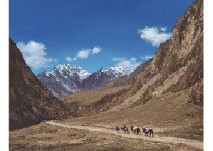 Silkroad (2)
