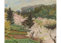 Kamakura Mountain Cherry blossoms
