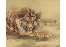 Glancei