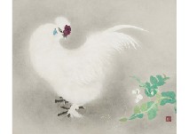 Silky Fowl