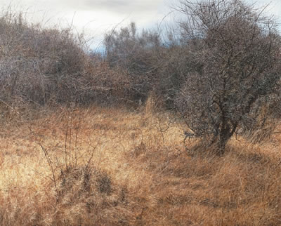 Sample artwork by KwangHo Lee (Born 1967), known for painting - View similar artists and auction records