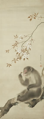 Monkey