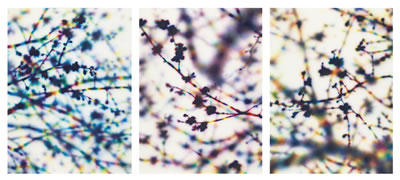 Light and Shadow (Blue); Light and Shadow (Red); Light and Shadow (Yellow)--triptych by Tomoya Tsukamoto - Auction record, sale price, and art valuation. Compare with similar artists and explore comparable artworks.