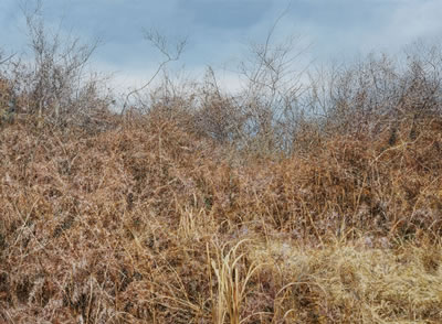 Untitled 3063 by KwangHo Lee - Auction record, sale price, and art valuation. Compare with similar artists and explore comparable artworks.