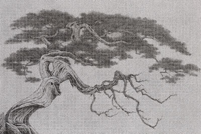 Same Root by Chun-Yi Lee - Auction record, sale price, and art valuation. Compare with similar artists and explore comparable artworks.
