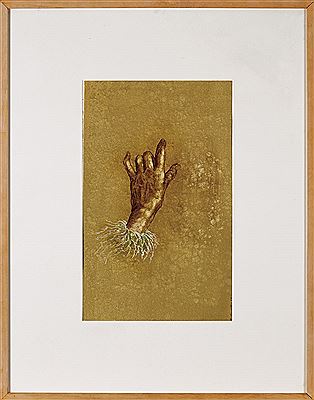 Sem título by Rosa Carvalho - Auction record, sale price, and art valuation. Compare with similar artists and explore comparable artworks.