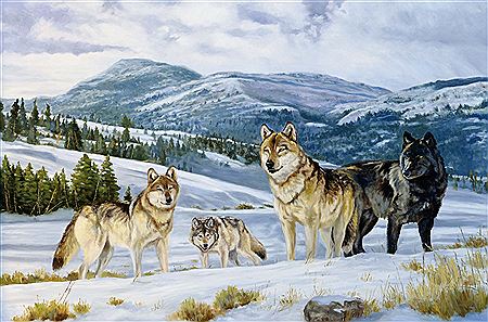 Elk in the Distance by Dustin Curtis - Auction record, sale price, and art valuation. Compare with similar artists and explore comparable artworks.