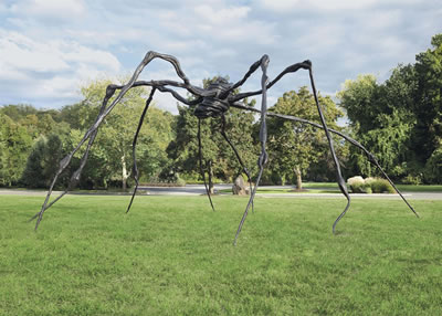 Spider