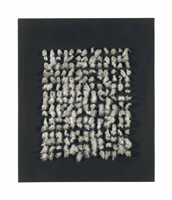 Witte Veertjes op Zwart (White Feathers on Black)