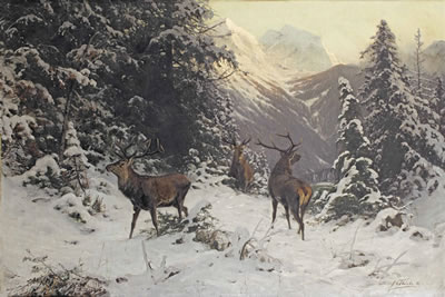 Falscher wind, Hirsche im winter: near Grossarl