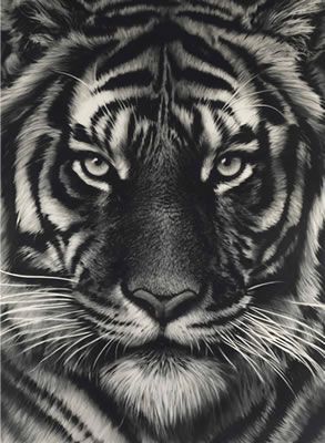 Untitled (Last Tiger) by Robert Longo - Auction record, sale price, and art valuation. Compare with similar artists and explore comparable artworks.