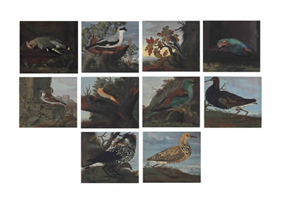 Studies of birds in landscape settings: A waxwing (Bombycilla); A common chaffinch (Fringilla coelebs); A great grey shrike (Lanius excubitor); A common kingfisher (Alcedo atthis); A house sparrow (Passer domesticus); A common redstart (Phoenicurus phoeni