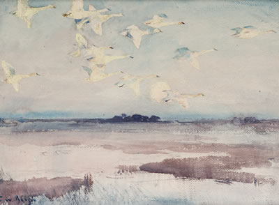 Swans in Flight