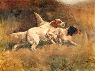 Spaniels