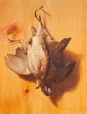 Bobwhite Quail and Woodcock