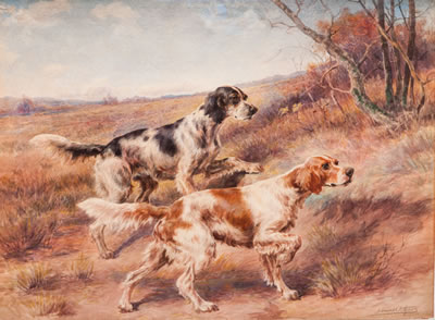 Two English Setters