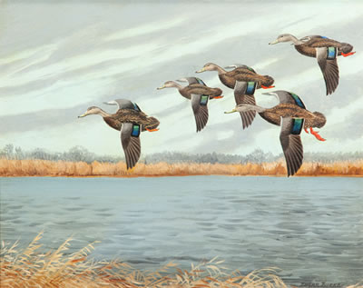Black Ducks by Edgar Burke - Auction record, sale price, and art valuation. Compare with similar artists and explore comparable artworks.