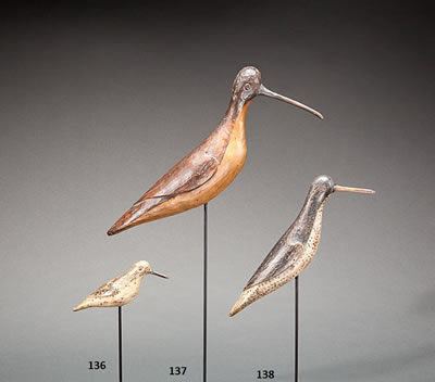 Curlew
