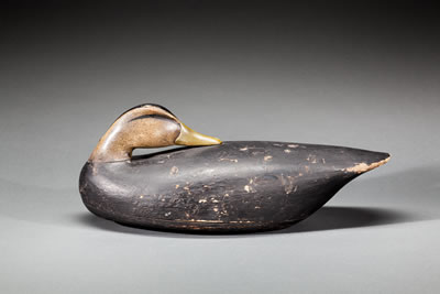Preening Black Duck by Joel D Barber - Auction record, sale price, and art valuation. Compare with similar artists and explore comparable artworks.