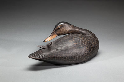 Copley Fine Art Auctions