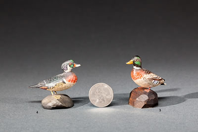 Diminutive Miniature Mallard Drake