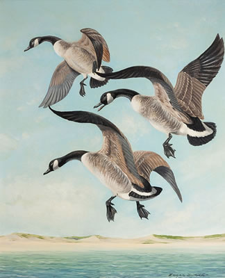 Sample artwork by Edgar Burke (1889 - 1950), known for photo-real birds - View similar artists and auction records