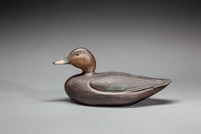 Black Duck by Charles H Hart - Auction record, sale price, and art valuation. Compare with similar artists and explore comparable artworks.