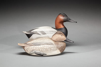 Two Canvasbacks