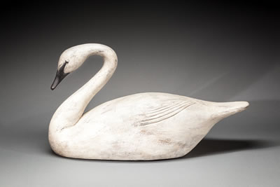 Trumpeter Swan