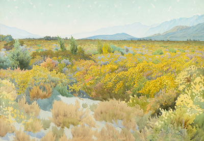 "Desert, Arizona; Aspens – Kaibab Forest"