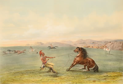 Catching the Wild Horse; Buffalo Hunt Under the White Wolf Skins; Buffalo Hunt on Snow Shoes