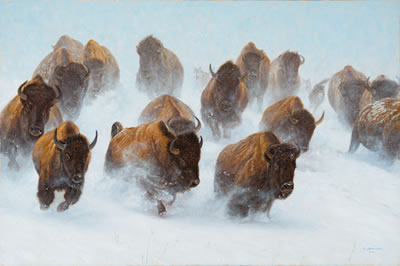 Silent Thunder by John Banovich - Auction record, sale price, and art valuation. Compare with similar artists and explore comparable artworks.