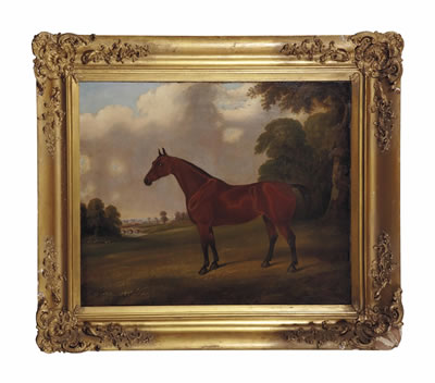Cheval bai dans un paysage