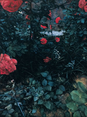 Garden Series