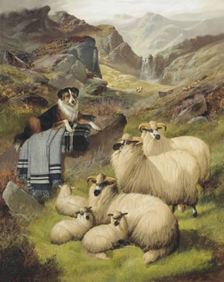 Guarding the sheep