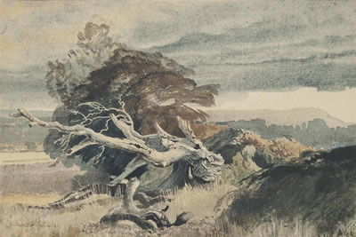 The fallen giant by Charles Knight - Auction record, sale price, and art valuation. Compare with similar artists and explore comparable artworks.