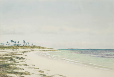 Armin Buchterkirch - artist photo for art wanted listing (Nassau, Bahamas)