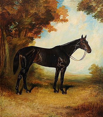 Sir Charles Assheton-Smith's "Cackler"