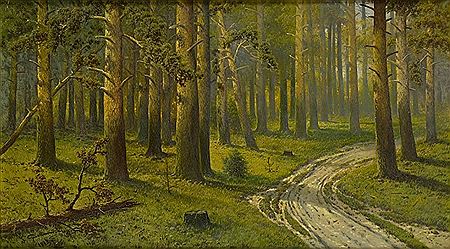Interior of a forest