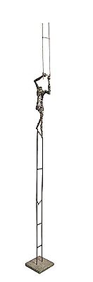 Ladder man