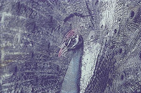 Sample artwork by Kamil Kmiecik (Born 1991) - View similar artists and auction records
